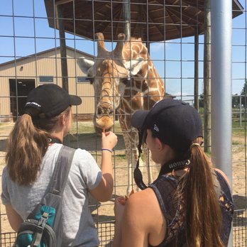 Boulder Ridge Wild Animal Park - Zoos Near Me - Alto, Michigan Boulder Ridge Wild Animal Park - Zoos Near Me - Alto, Michigan