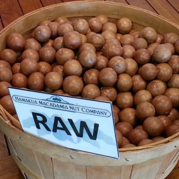 Hamakua Macadamia Nut - Specialty Food Near Me - Kawaihae, Hawaii