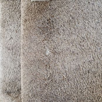 Genuine Carpet Repairs - Before(Pet Damage) - Carpeting Near Me Genuine Carpet Repairs - Before(Pet Damage) - Carpeting Near Me