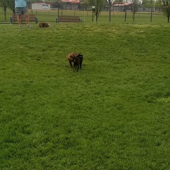 Morse Dog Park - Dog Parks Near Me - Elk Grove, California