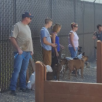On Command - Pet Groomers Near Me - Sparks, Nevada On Command - Pet Groomers Near Me - Sparks, Nevada