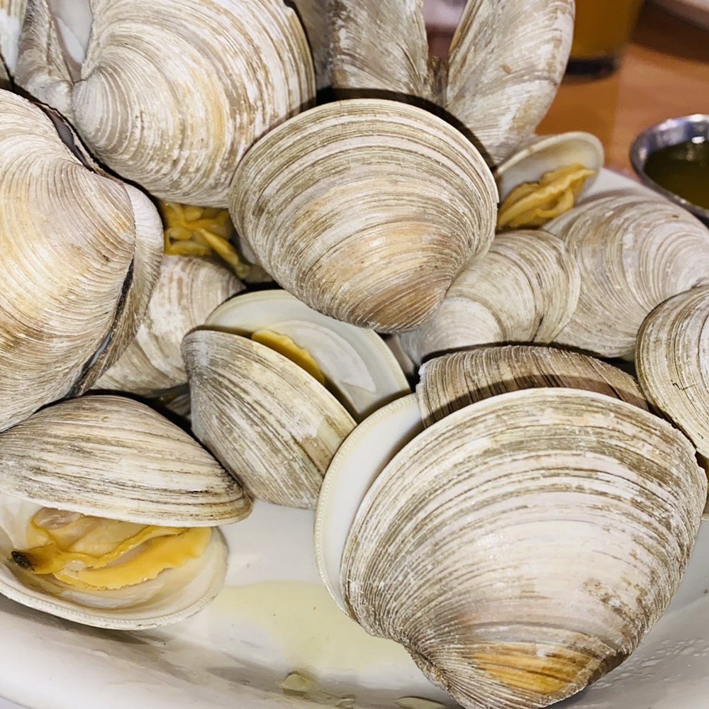Pub 199 - 2 Dozen Clams - Steakhouses Near Me - Mount Arlington, New Jersey Pub 199 - 2 Dozen Clams - Steakhouses Near Me - Mount Arlington, New Jersey
