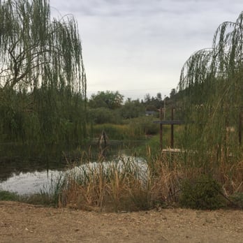 24Carrot Farm - Pondy - Fruits & Veggies Near Me - Placerville, California