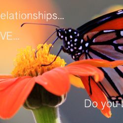 Art of Intimacy