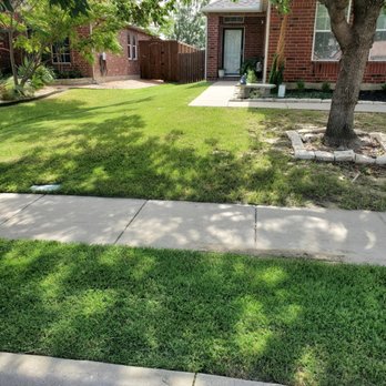 Cowboy Cutt Lawn Care - a front yard - Lawn Services Near Me Cowboy Cutt Lawn Care - a front yard - Lawn Services Near Me