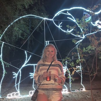 Phoenix Zoo - Zoos and brews night lights - Zoos Near Me - Phoenix, Arizona