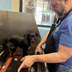 Feeders Supply - Dog bath day! The baths at Feeder Supply are a lifesaver.
