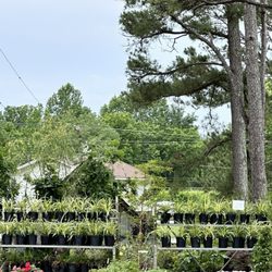 Chris'greenhouse & Garden Center