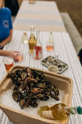 Bodega Bay Oyster Company by null