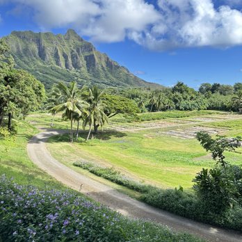 Kualoa Ranch - Tours Near Me - Kaneohe, Hawaii