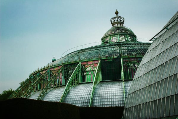 Royal Greenhouses of Laeken by null