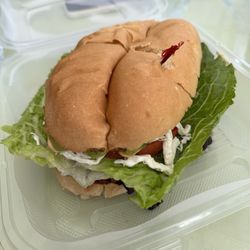 Iguanas Ranas Taqueria - Torta