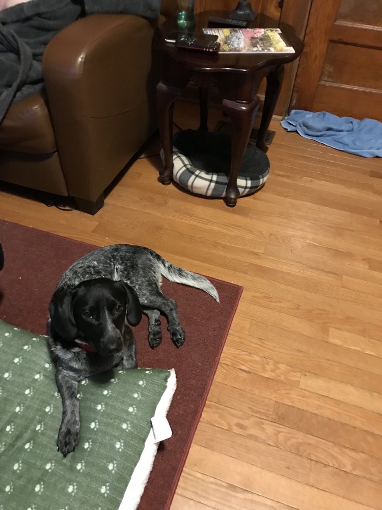 HARTLAND ANIMAL HOSPITAL Updated September 2024 6425 S Jackson Hwy