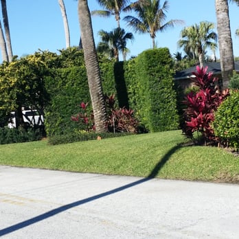 Reel Time Lawncare - a man riding a skateboard - Lawn Services Near Me - Melbourne, Florida Reel Time Lawncare - a man riding a skateboard - Lawn Services Near Me - Melbourne, Florida