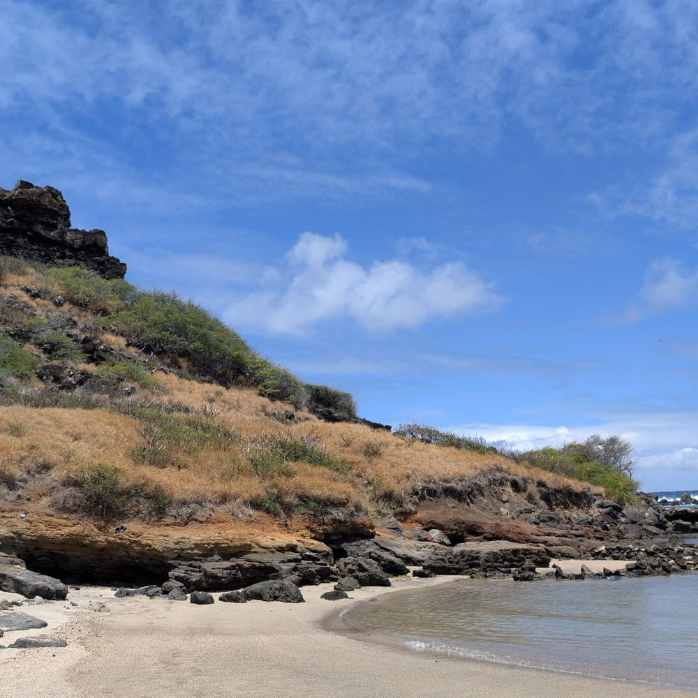 Best Spearfishing near Island Divers in Honolulu, HI - Yelp