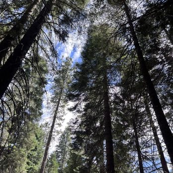Sunset Campground - Campgrounds Near Me - Grant Grove, California Sunset Campground - Campgrounds Near Me - Grant Grove, California