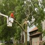 Photo of Grandpaw's Full Tree Service and Landscaping