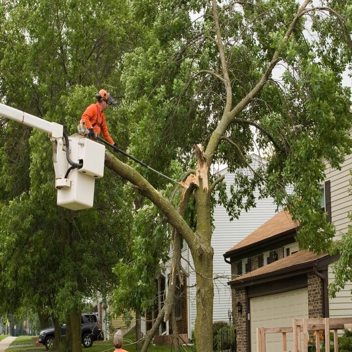 Grandpaw's Full Tree Service and Landscaping - tree service in Archdale, NC