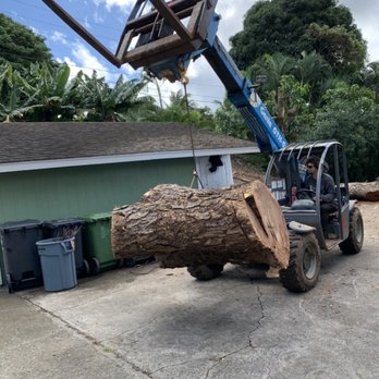 The Yard Guy - Removal of large Monkey pod tree - Landscaping Near Me - Kailua, Hawaii The Yard Guy - Removal of large Monkey pod tree - Landscaping Near Me - Kailua, Hawaii