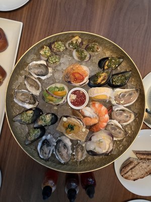 The Lonely Oyster by null