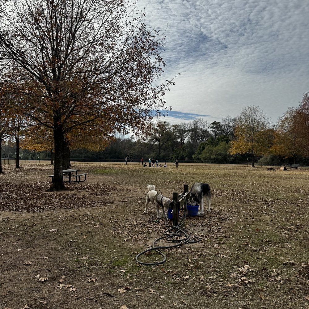 Dog Park - Dog Parks Near Me - Prattville, Alabama