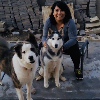 That Crazy Dog Lady - Widdles/Elektra - Pet Groomers Near Me - Glendale, Arizona That Crazy Dog Lady - Widdles/Elektra - Pet Groomers Near Me - Glendale, Arizona