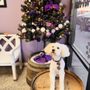 Photo of Rub A Dub Doggie Scrub