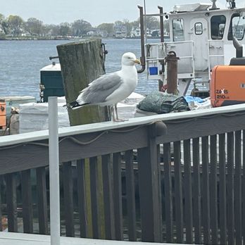 Sono Seaport Seafood - The view - Seafood Near Me - Norwalk, Connecticut Sono Seaport Seafood - The view - Seafood Near Me - Norwalk, Connecticut