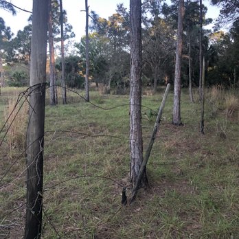 DuPuis Management Area - Part of the old ranch fence. - Hiking Near Me - Canal Point, Florida DuPuis Management Area - Part of the old ranch fence. - Hiking Near Me - Canal Point, Florida