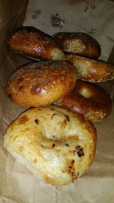 Bullfrog Bagels by null