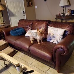 Holy Trinity Thrift Shop - Couch