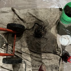 RootBusters Plumbing Sewers & Drains