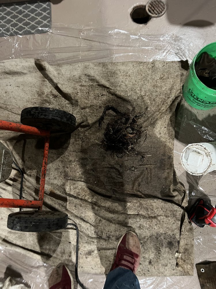 Slide of Root Busters