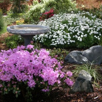 Naturescape Designs - Gardeners Near Me - Medford, Oregon Naturescape Designs - Gardeners Near Me - Medford, Oregon