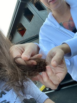 Quality Inn & Suites Gilroy by null