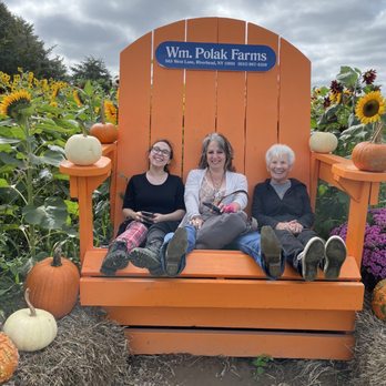 Wm Polack Farm - Who doesn't love Giant photo chair?! - Farms Near Me - Riverhead, New York Wm Polack Farm - Who doesn't love Giant photo chair?! - Farms Near Me - Riverhead, New York