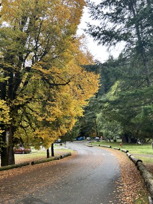 Sol Duc Hot Springs Resort by null