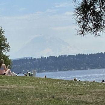 O. O. Denny Park - The views though. :-) - Parks Near Me - Kirkland, Washington O. O. Denny Park - The views though. :-) - Parks Near Me - Kirkland, Washington