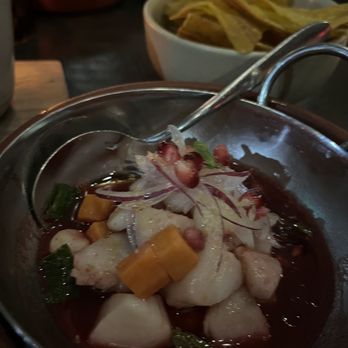 Mita's Restaurant and Bar - Ceviche - Spanish Near Me - Cincinnati, Ohio Mita's Restaurant and Bar - Ceviche - Spanish Near Me - Cincinnati, Ohio