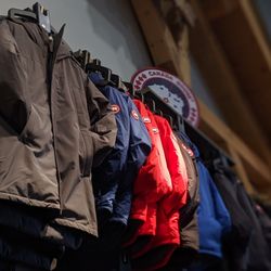 Trailhead Paddle Shack - Canada Goose