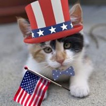 Camden Animal Clinic - Veterinarians Near Me - Camden, Tennessee Camden Animal Clinic - Veterinarians Near Me - Camden, Tennessee