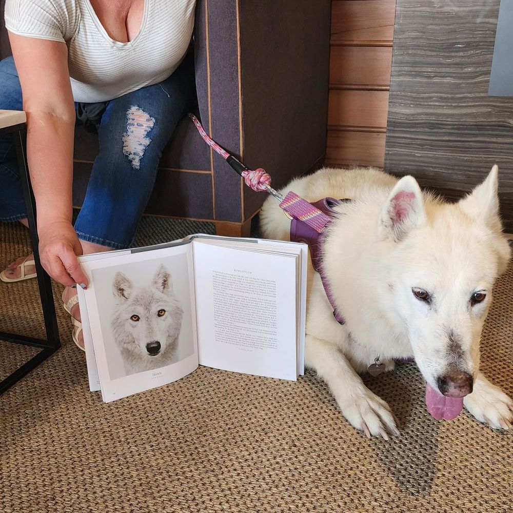 Found Snowie's "cousin." Found Snowie's "cousin."