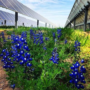 Solar Service - Solar Panel Cleaning Near Me - San Antonio, Texas Solar Service - Solar Panel Cleaning Near Me - San Antonio, Texas