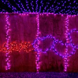 McCray's Farm - Inside the love shack of the holiday light stroll