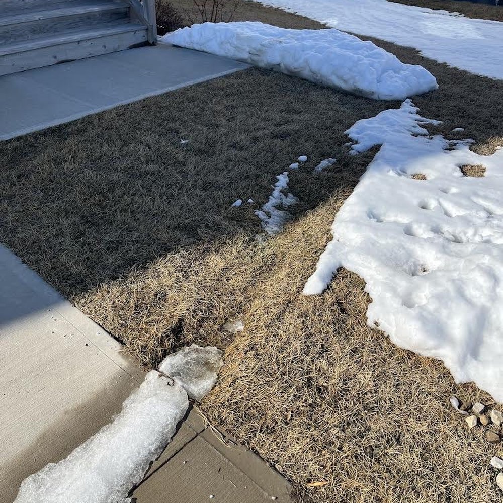 Greg's Lawn & Landscaping - Tire marks - Landscaping Near Me - Cedar Rapids, Iowa Greg's Lawn & Landscaping - Tire marks - Landscaping Near Me - Cedar Rapids, Iowa