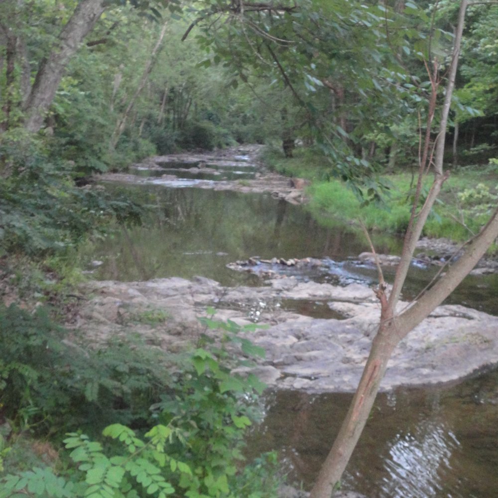 Gooney Creek Campground - Site 16 view. - Campgrounds Near Me - Front Royal, Virginia