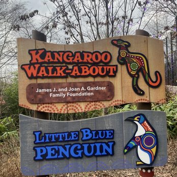 Kangaroo Walkabout - Zoos Near Me - Cincinnati, Ohio