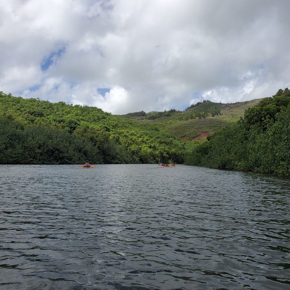 Kayak Wailua Tours - Tours Near Me - Kapaa, Hawaii