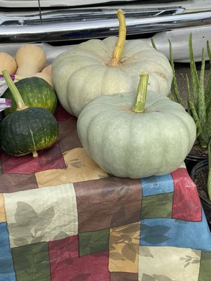 Collierville Farmers Market by null