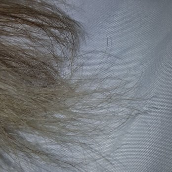 Amazing Touch Salon - The fried ends of my hair, after she cut it and after I desperately went for oloplex- didn't help! - Hair Extensions Near Me - Schaumburg, Illinois